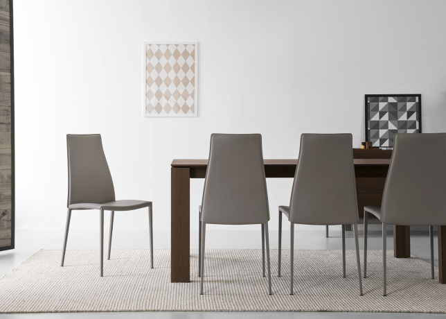 Calligaris Chairs