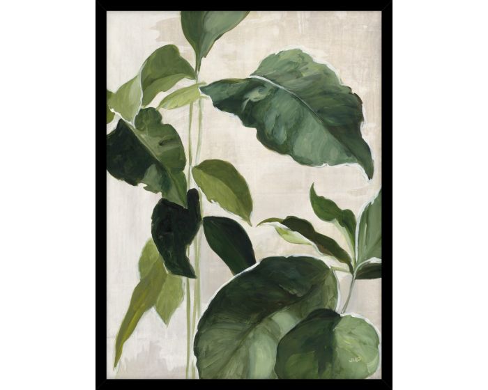 Tropical Study II Picture