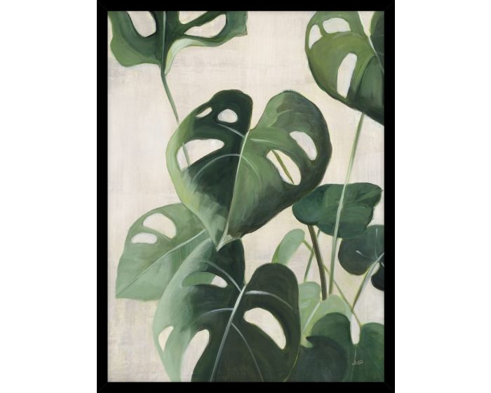 Tropical Study IV Picture