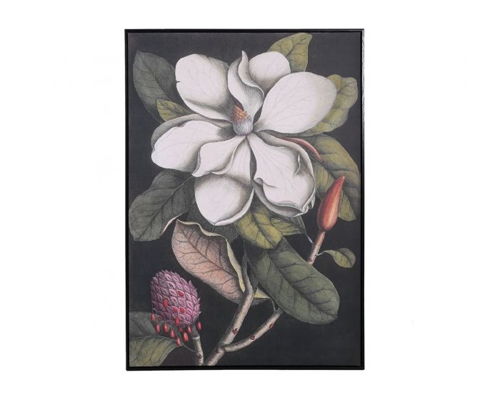 Magnolia Framed Picture