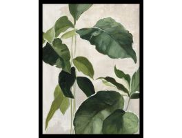Tropical Study II