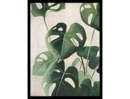 Tropical Study IV