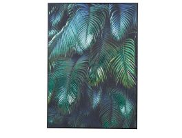 Tropical Leaves Picture