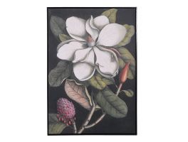 Magnolia Framed Picture