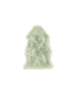 Sheepskin Mint Single