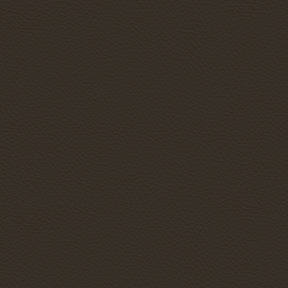 ECP07 Marrone (Synthetic Leather)