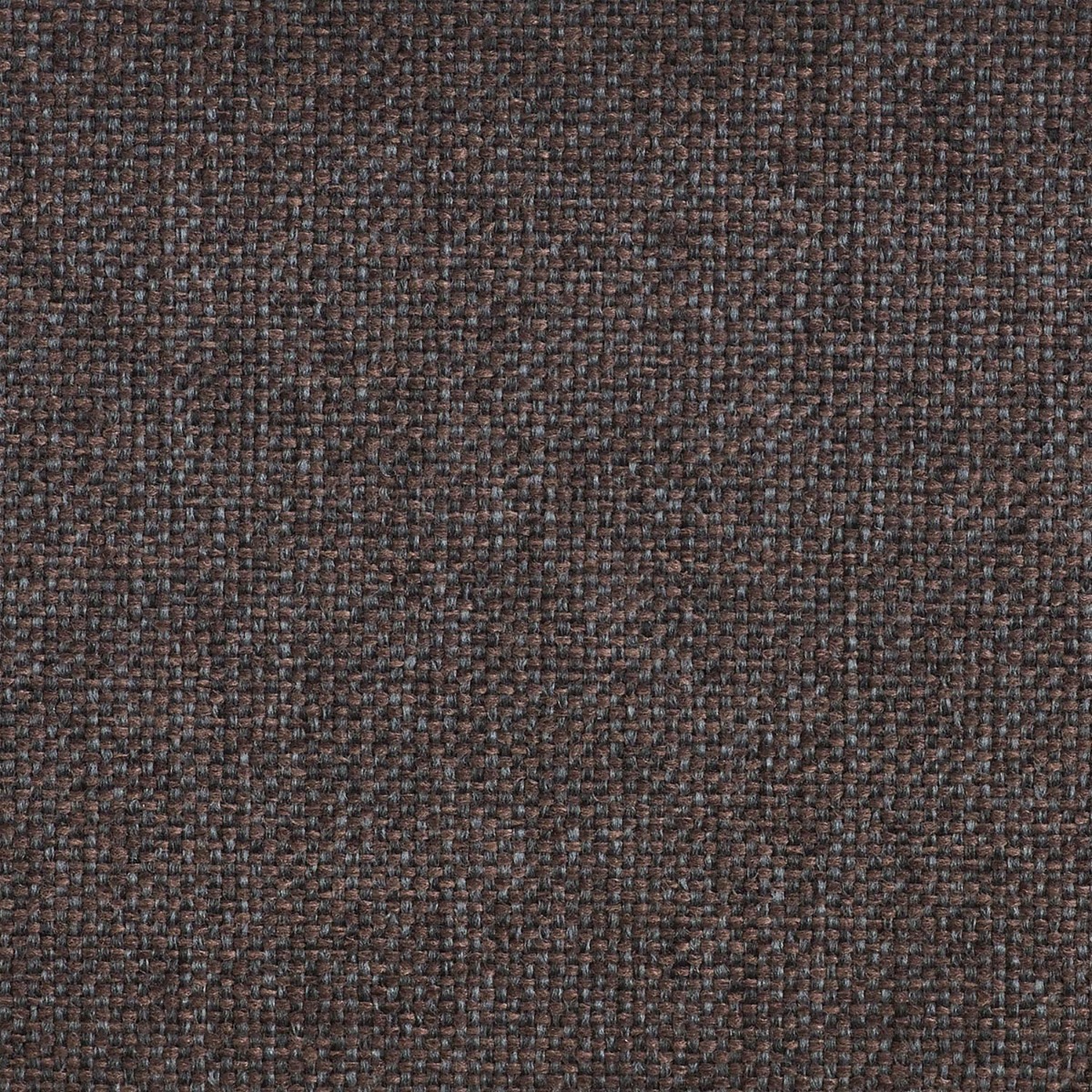 Florida Chocolate (Group 8 Fabric)