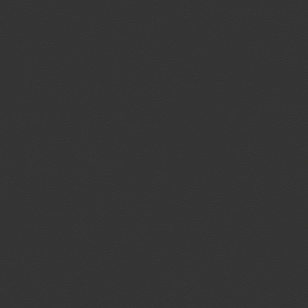 Paloma Black (Leather)