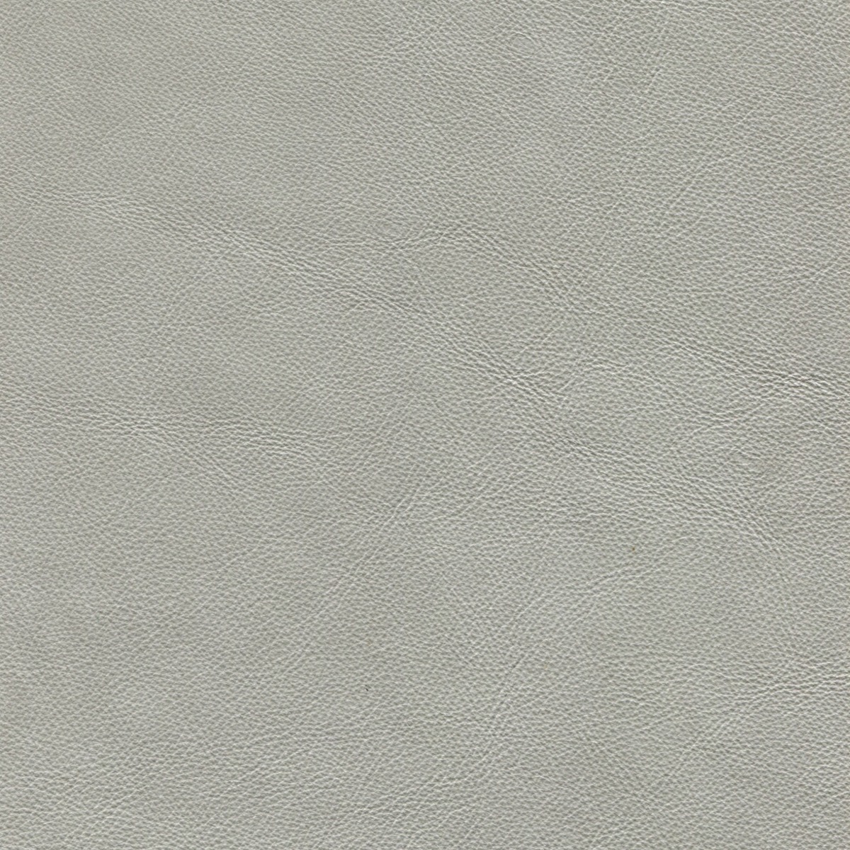 Tote Silver (Grade A Leather)