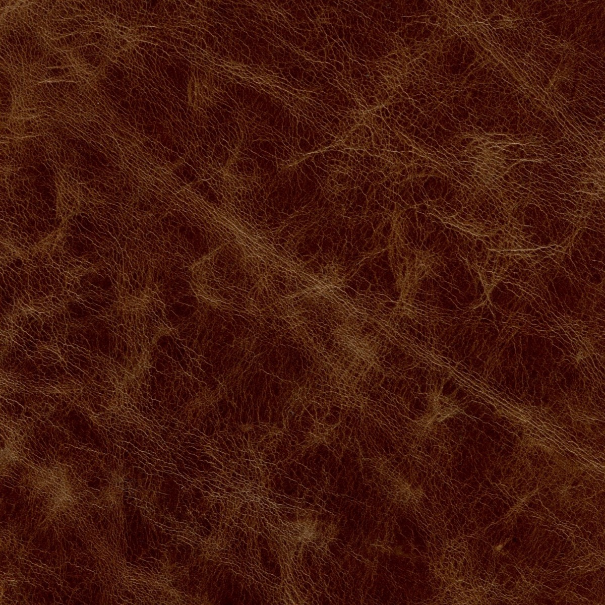 Galveston Bark (Leather)